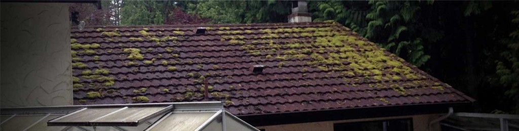 Vancouver Roof Cleaning Before