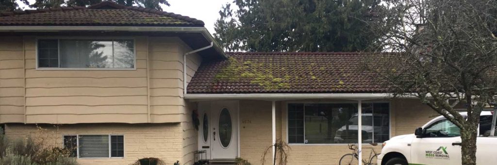 Vancouver roof cleaning before