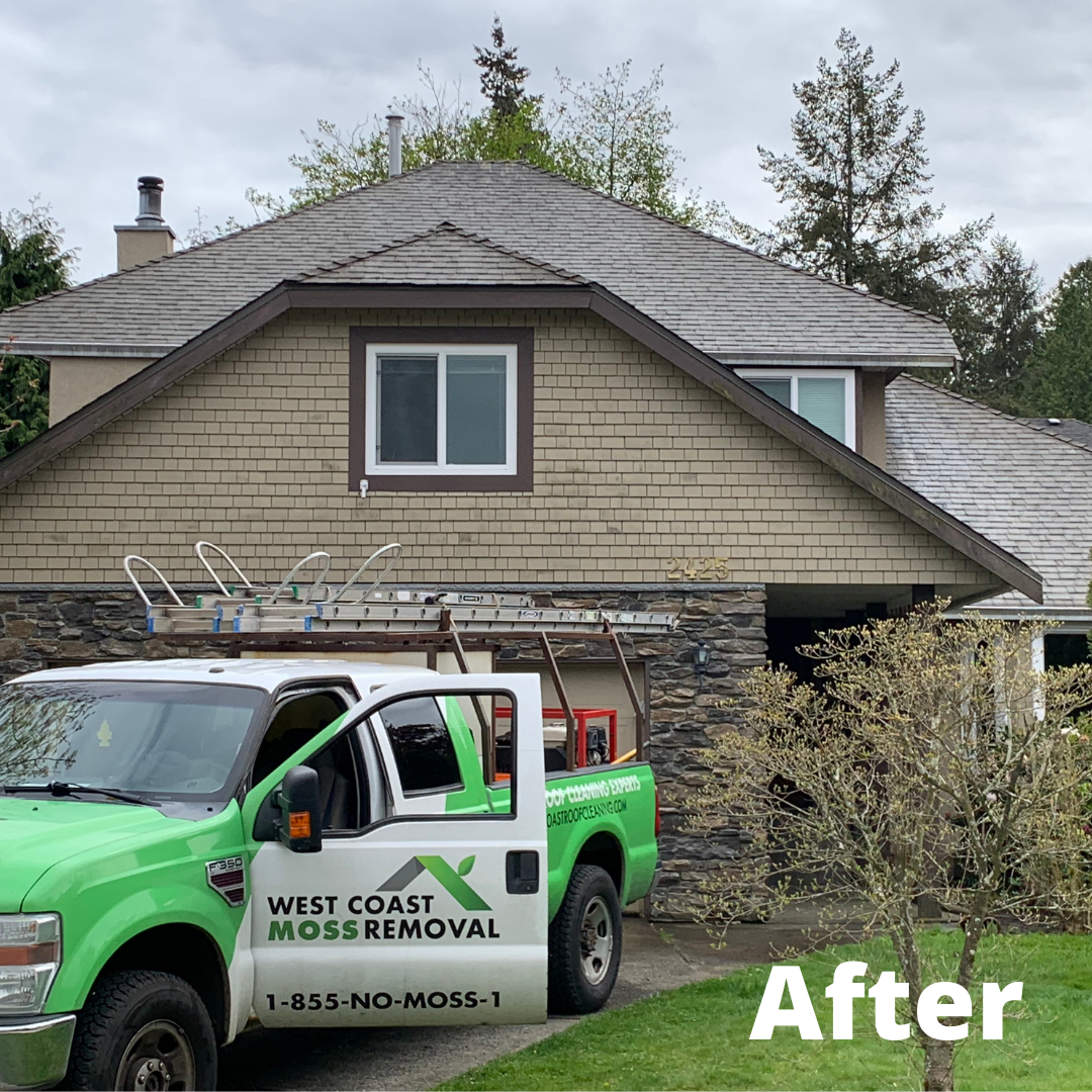 Surrey Roof Cleaning Asphalt Single