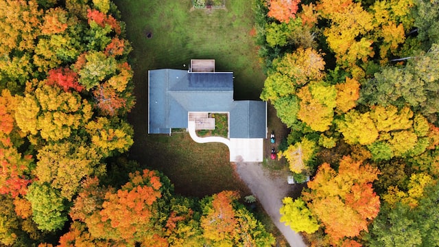 house in the middle of forest